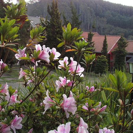 Pousada Flores Da Serra Monte Verde  Εξωτερικό φωτογραφία